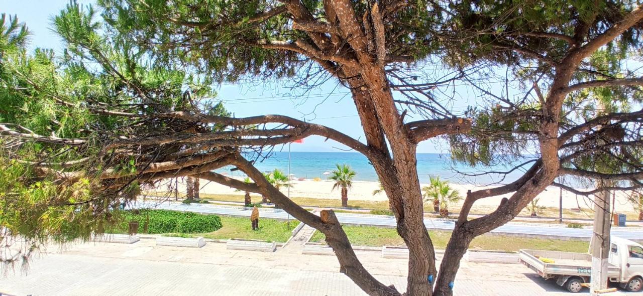 Villa Plaj كوشاداسيه المظهر الخارجي الصورة